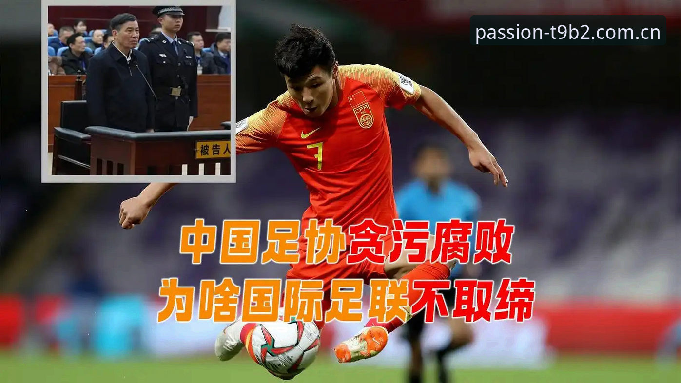 谈球吧赛事直播平台最新版 足坛反腐风暴实用指南:从禁足名单看中国足球的自我净化之路